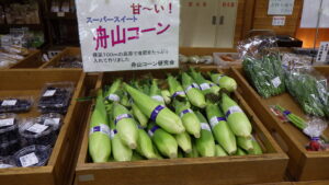 甘くておいしい舟山コーン出始めました