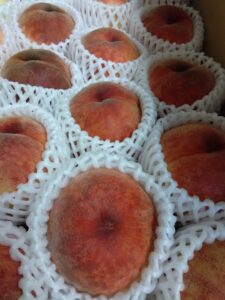 桃🍑の発売開始